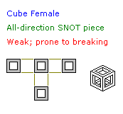 cube_female.png