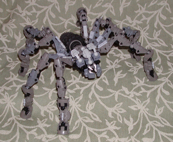spider01.jpg