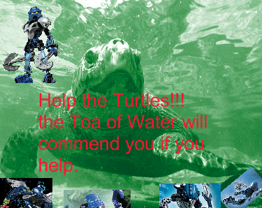 help_the_turtles.png