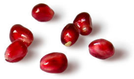 pomegranate-banner-sm.png