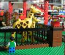 giraffeswatchingtrain.jpg