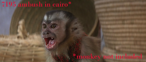 l-monkey.jpg