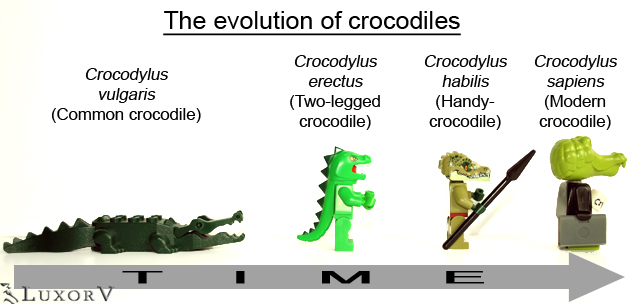 evolutionofcrocodiles_001.jpg