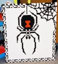 spider01.jpg