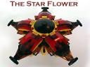 Star-Flower