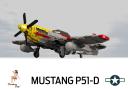 P51-D-Mustang