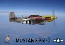 p51d_mustang_dearborn_doll_03.png