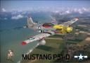 p51d_mustang_dearborn_doll_10.png