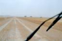 36_rain_in_desert.jpg